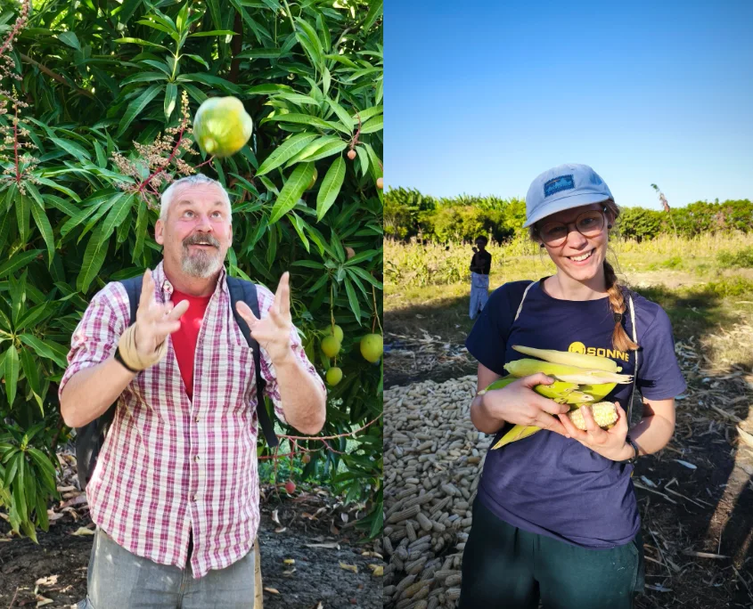 Mitarbeiter:innen von Sonne International erfreuen sich am Obst und Gemüse